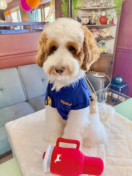 Entry image for Sammy Rose, RN. Clicking this image will show a larger photo