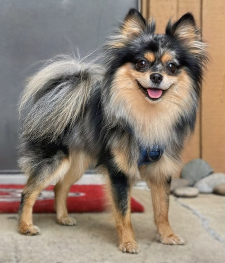 Entry image for Kasino. Clicking this image will show a larger photo