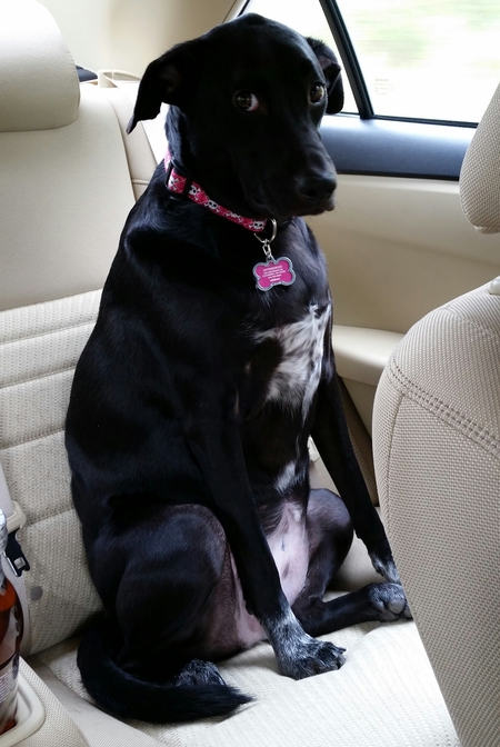 Sophie