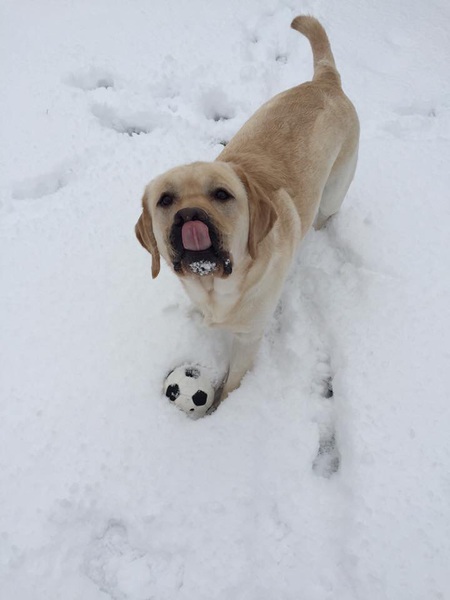 Entry image for Channing Hyme . Clicking this image will show a larger photo