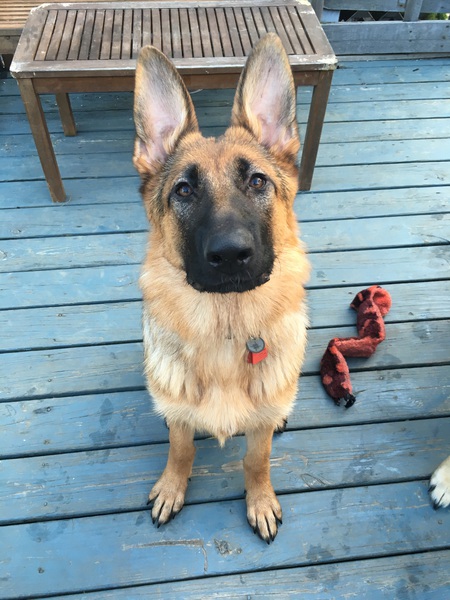 Maggie