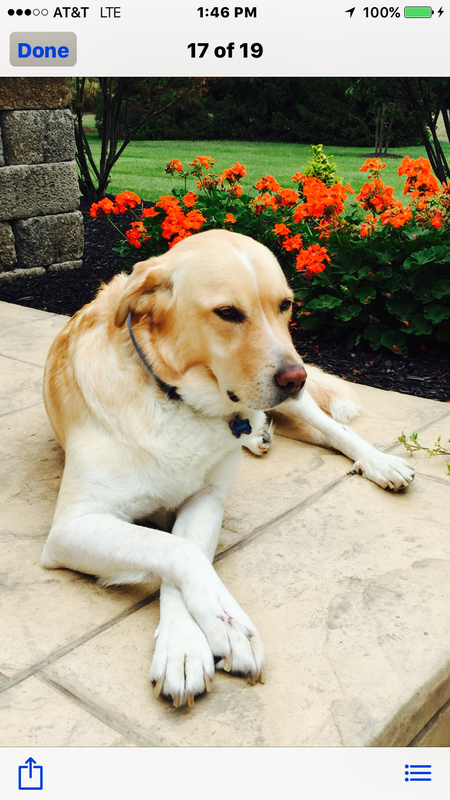 Entry image for Sunshine. Clicking this image will show a larger photo