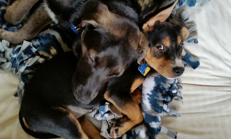 Juno and Larry