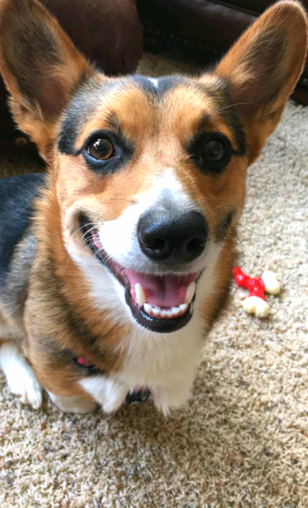 Walter
