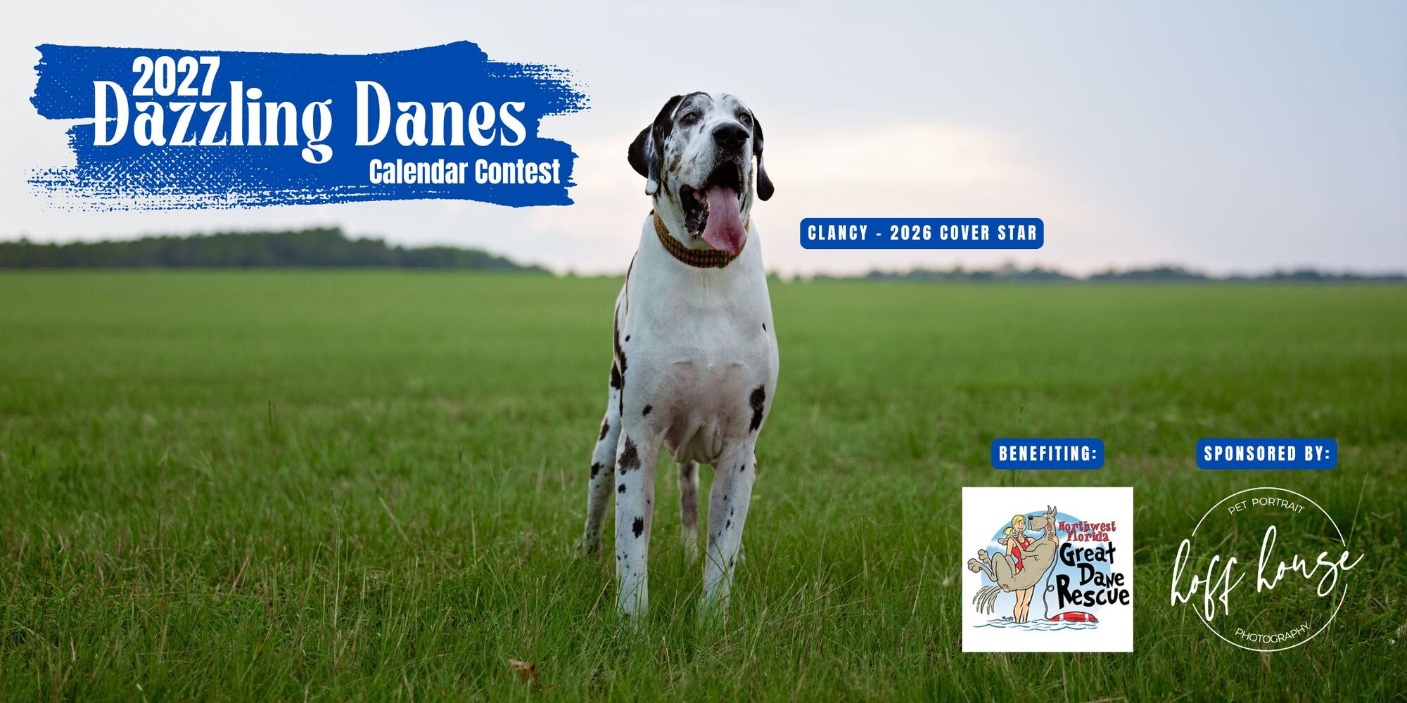 Banner for Dazzling Danes Calendar Contest