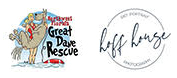 Logo for Dazzling Danes Calendar Contest