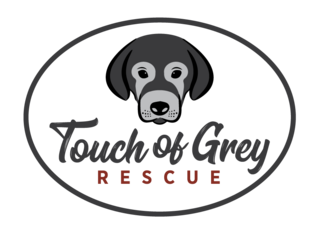 Logo for Best in Rescue!