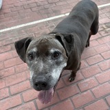 Entry image for Beans