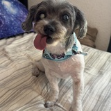 Entry image for Princess