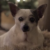 Entry image for Lola