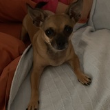 Entry image for Nikki