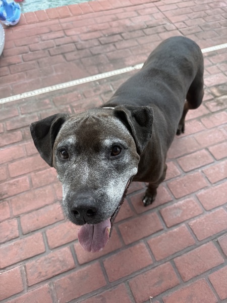 Entry image for Beans. Clicking this image will show a larger photo