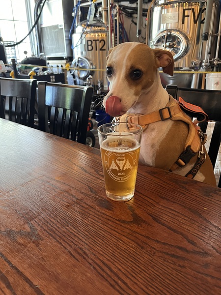 Entry image for Froot Loops. Clicking this image will show a larger photo