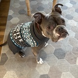 Entry image for Groucho