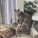 Entry image for Ashlyn & Niko