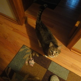 Entry image for In Memory Jamie Lee