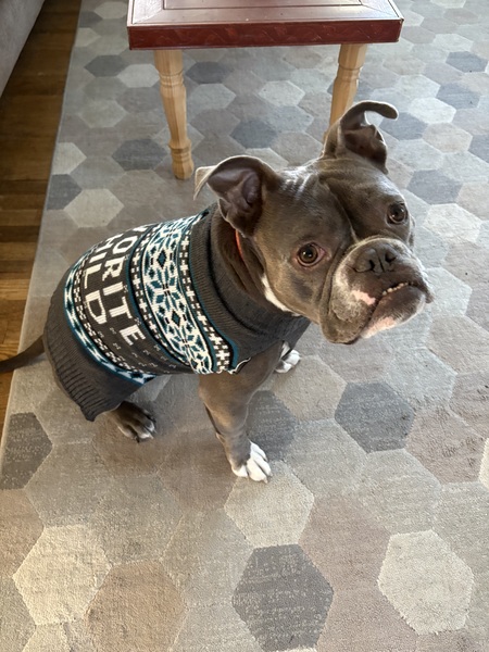 Entry image for Groucho. Clicking this image will show a larger photo