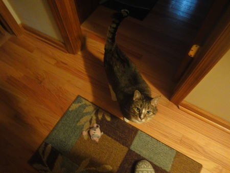 Entry image for In Memory Jamie Lee. Clicking this image will show a larger photo