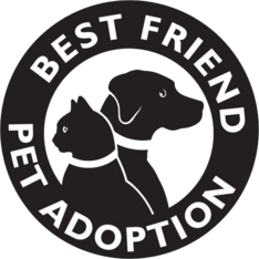 Logo for Best Friend Pet Adoption 2027 Calendar Fundraiser