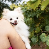 Entry image for Luna 