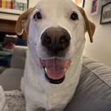 Entry image for Moon Pie