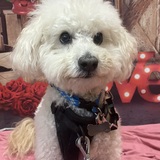 Entry image for Graham