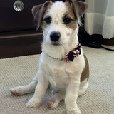 Entry image for Eddie