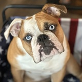 Entry image for Hatteras