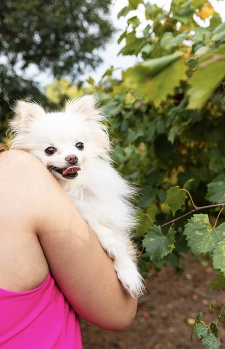 Entry image for Luna . Clicking this image will show a larger photo