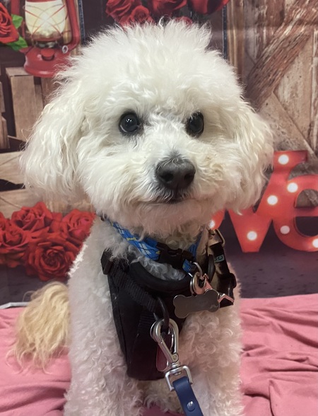 Entry image for Graham. Clicking this image will show a larger photo