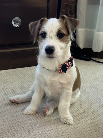 Entry image for Eddie. Clicking this image will show a larger photo