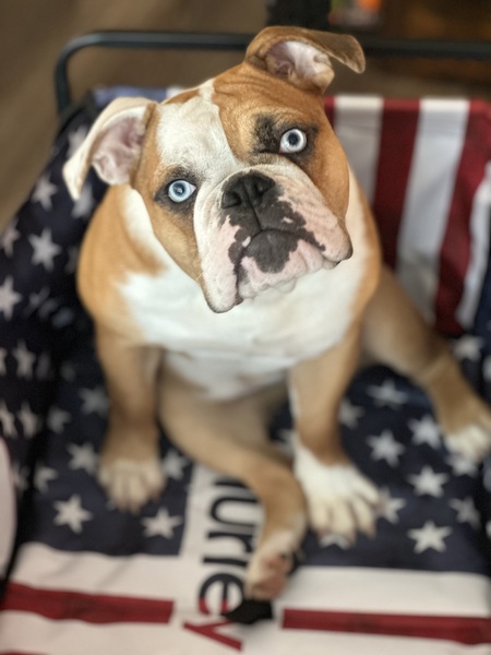 Entry image for Hatteras. Clicking this image will show a larger photo