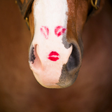 Entry image for Lauren Kemp