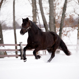 Entry image for Lauren Kemp