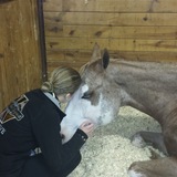 Entry image for Tracey Howard