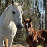 Entry image for Ashley Ball