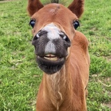 Entry image for Ashley Ball