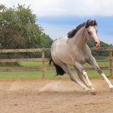 Entry image for Chrometown Hero