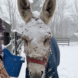 Entry image for Larry Cerio