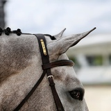 Entry image for Daisy Rakan