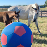 Entry image for Daisy Rakan