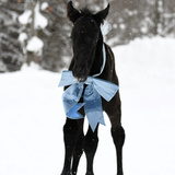 Entry image for Daisy Rakan