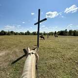 Entry image for Daisy Rakan