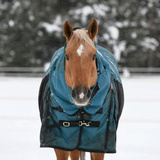 Entry image for Daisy Rakan