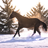 Entry image for Kayla Bloede