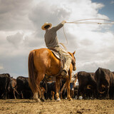 Entry image for Dylan Davidson