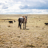 Entry image for Dylan Davidson