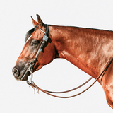 Entry image for Corrin Hupp