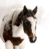 Entry image for Corrin Hupp