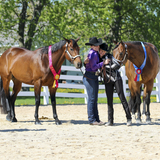 Entry image for Kayla Bloede